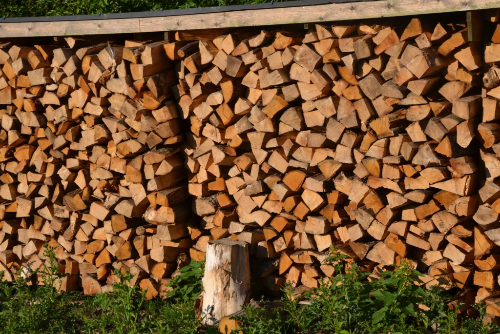 Article de blog yro buches